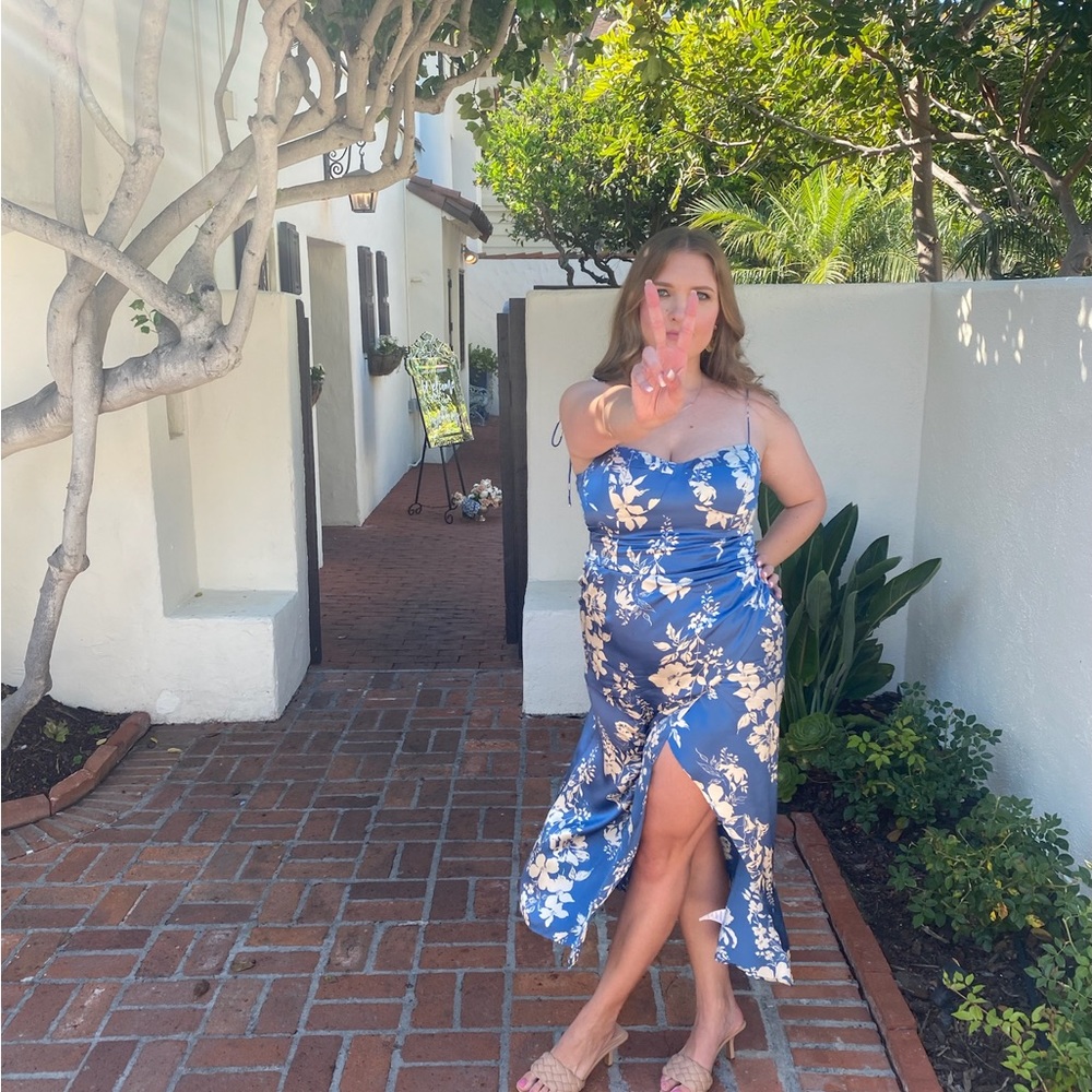 Reformation Marguerite silk dress